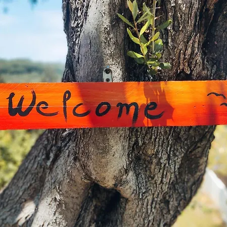 Bambas Apartament Astrakeri