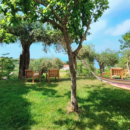 Apartamento Bambas
